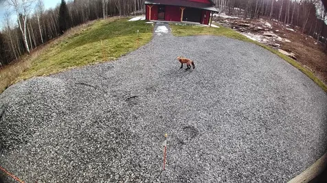 93 Dog Wood Lane Lyndon VT 05851