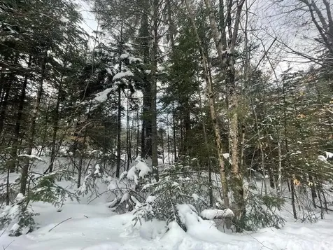 00 Derush Road Canaan NH 03741