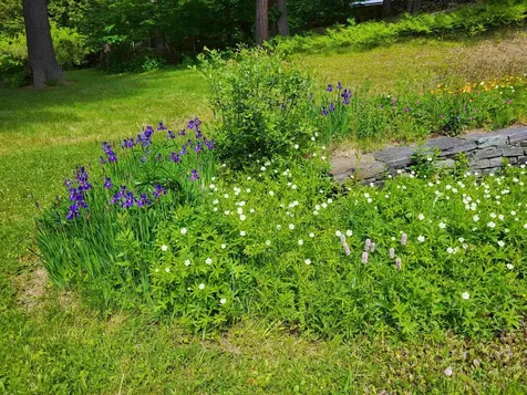 4664 Jericho Street Hartford VT 05001
