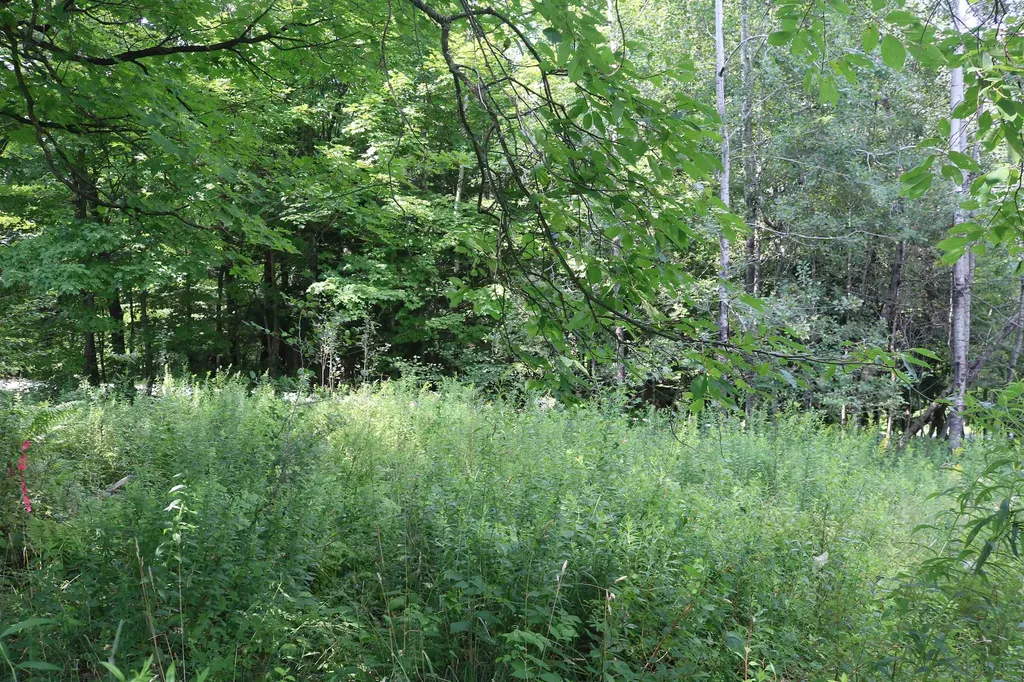 223 Deming Road Enosburg VT 05450