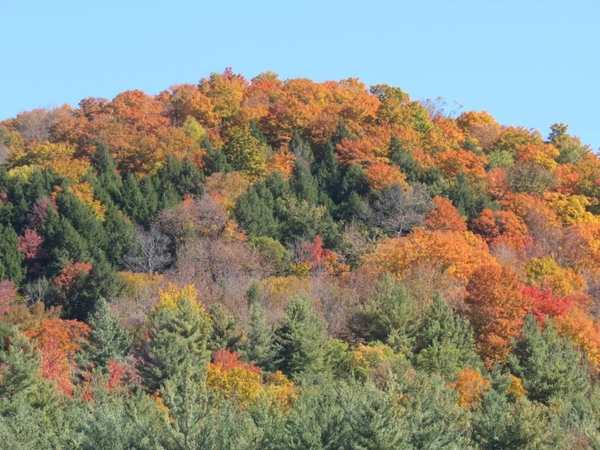 00 Blackmer Boulevard Stockbridge VT 05772