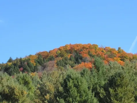 00 Blackmer Boulevard Stockbridge VT 05772