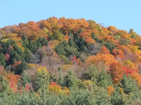 00 Blackmer Boulevard Stockbridge VT 05772