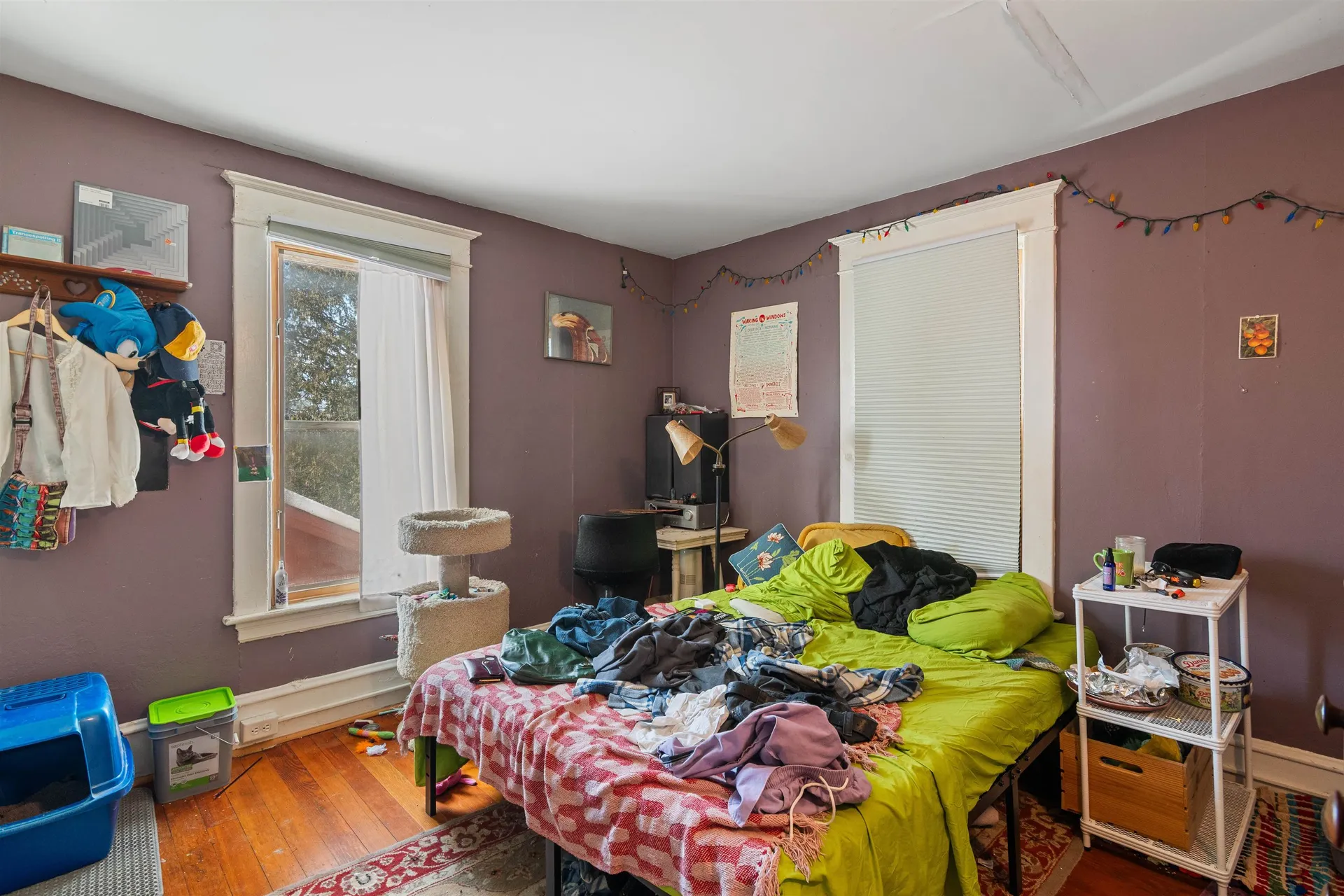 103 North Champlain Street Burlington VT 05401