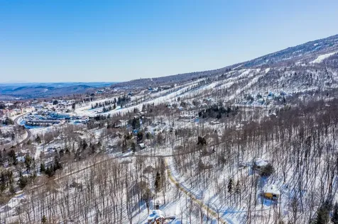 13 Windtree Road Winhall VT 05340