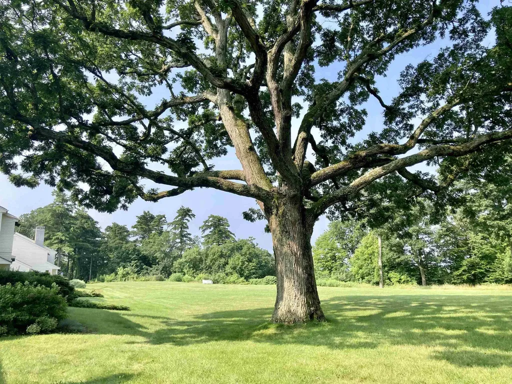 545 South Prospect Street Burlington VT 05401