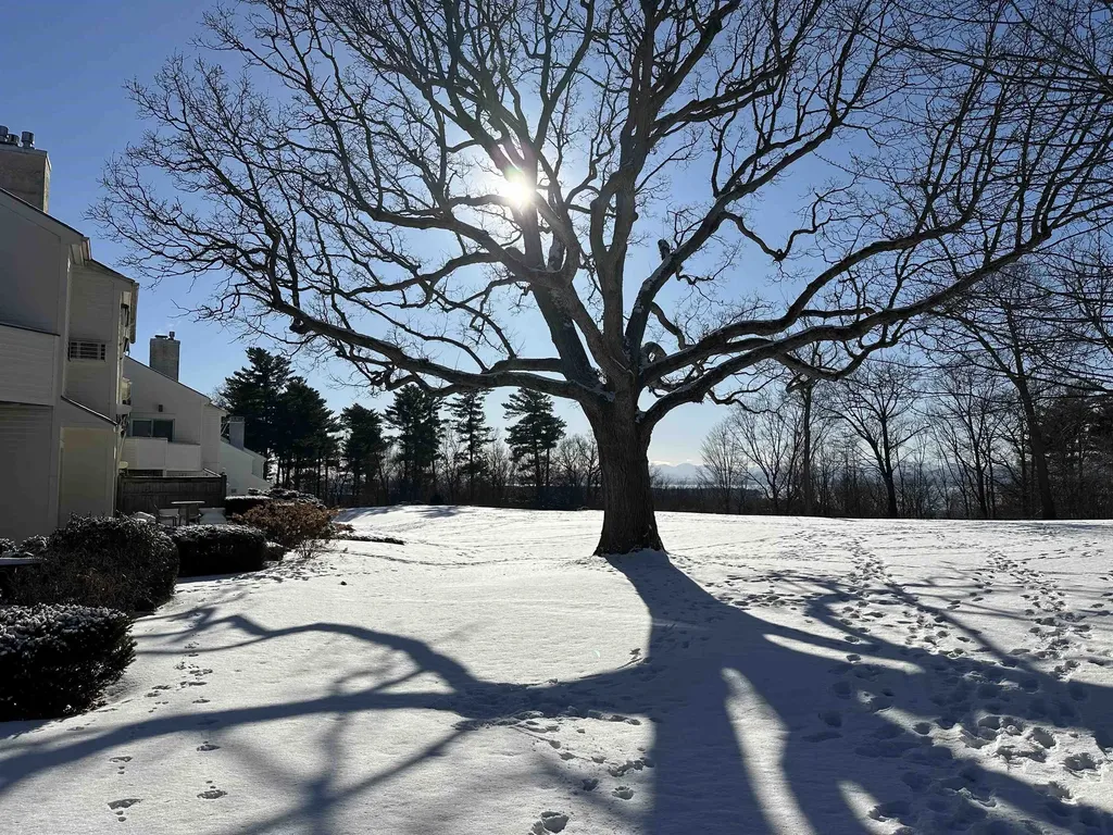 545 South Prospect Street Burlington VT 05401