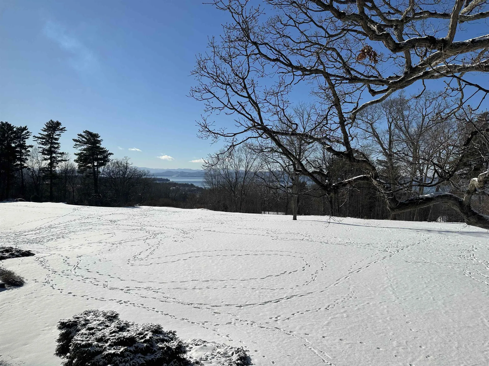 545 South Prospect Street Burlington VT 05401