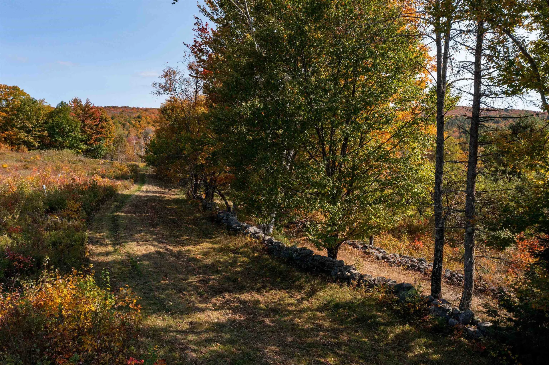 1610 Cape Moonshine Road Piermont NH 03779