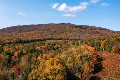 1610 Cape Moonshine Road Piermont NH 03779