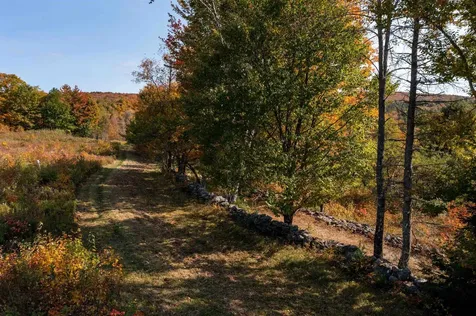 1610 Cape Moonshine Road Piermont NH 03779