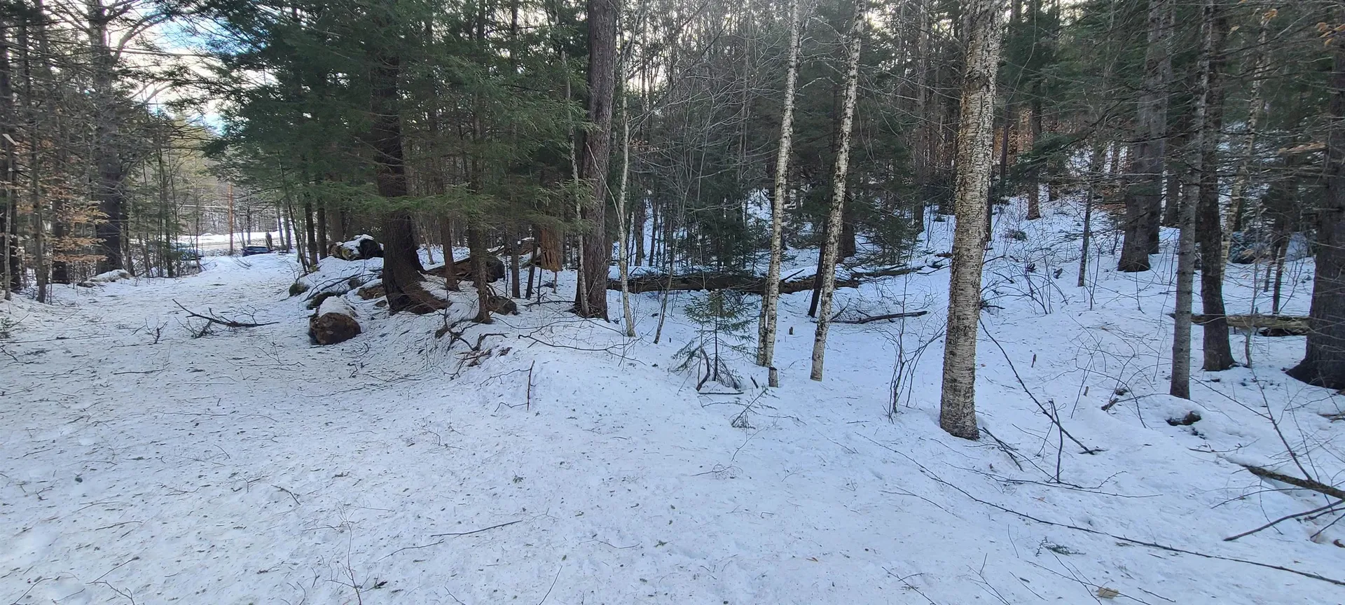 8559 Vt Route 30 Jamaica VT 05343