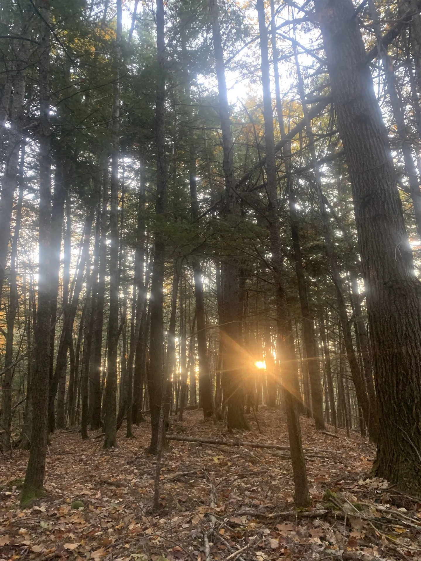 1433 Bog Road Alexandria NH 03222