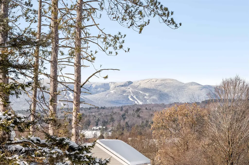 1234 Pucker Street Stowe VT 05672