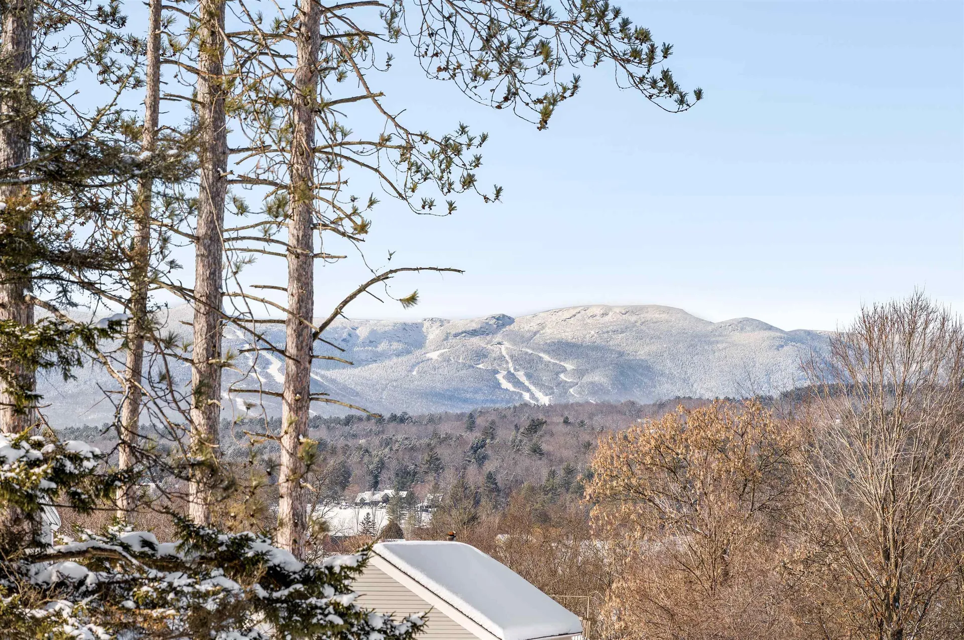 1234 Pucker Street Stowe VT 05672
