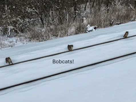 606 Dog Team Road New Haven VT 05472