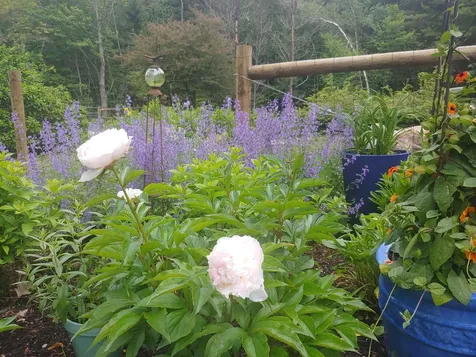 102 Mccormick Lane Sunderland VT 05250