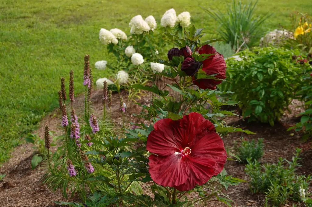 297 Railroad Street Johnson VT 05656