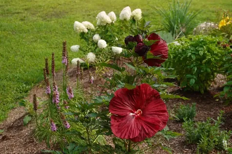 297 Railroad Street Johnson VT 05656