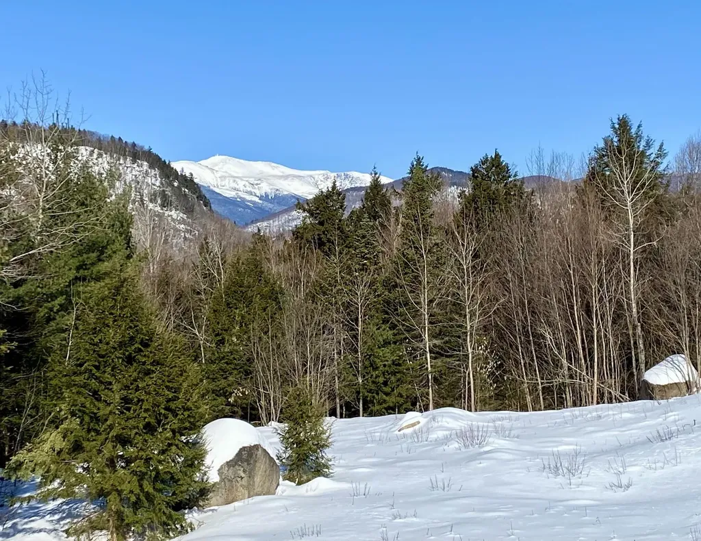 D14 Christmas Mountain Road Bartlett NH 03812