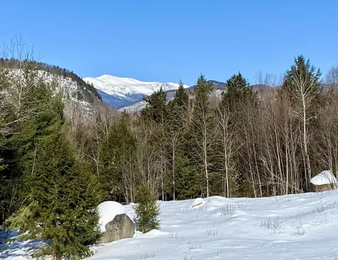 D14 Christmas Mountain Road Bartlett NH 03812