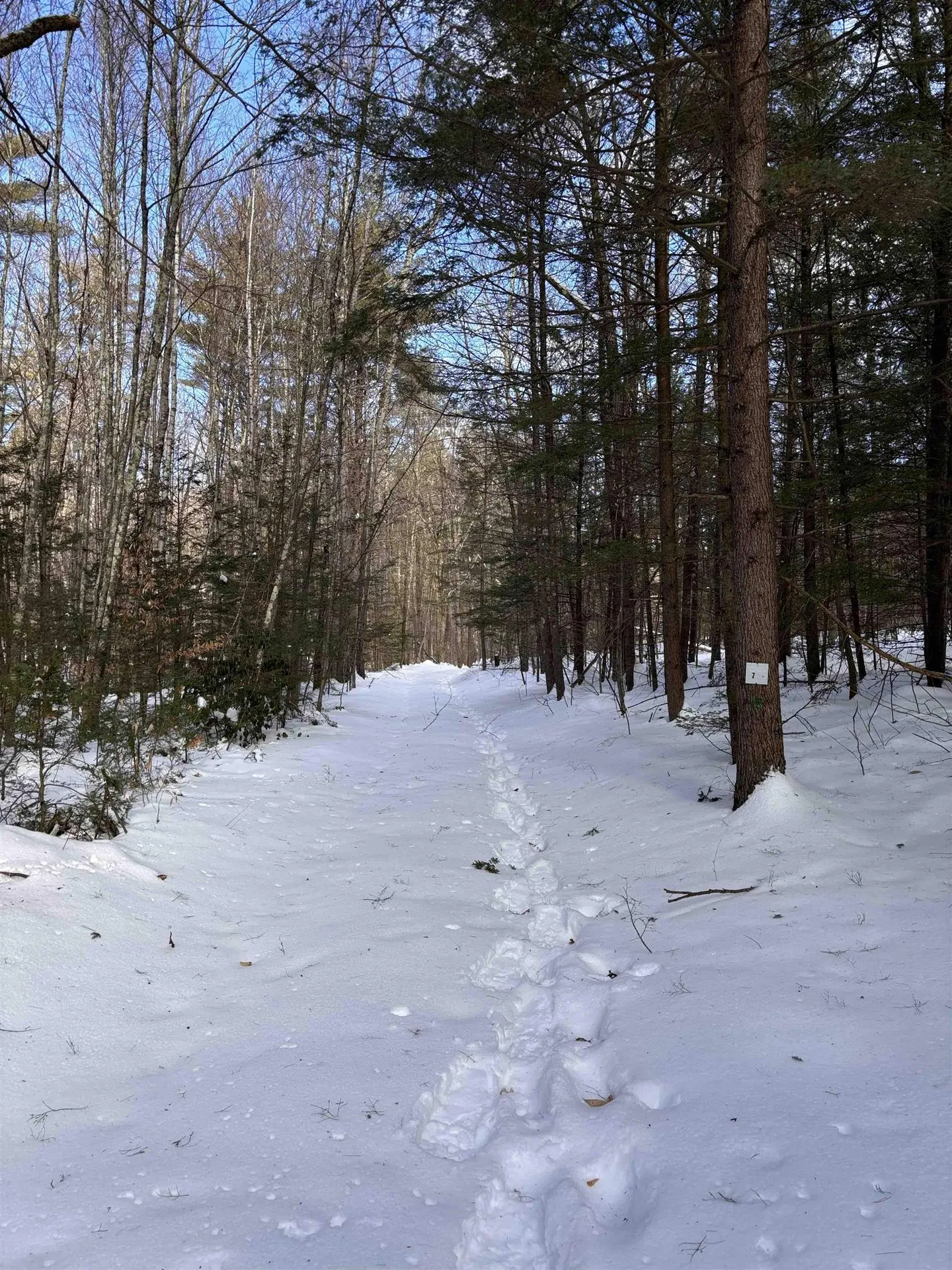 M2 L36 Tipping Rock Road Winchester NH 03470