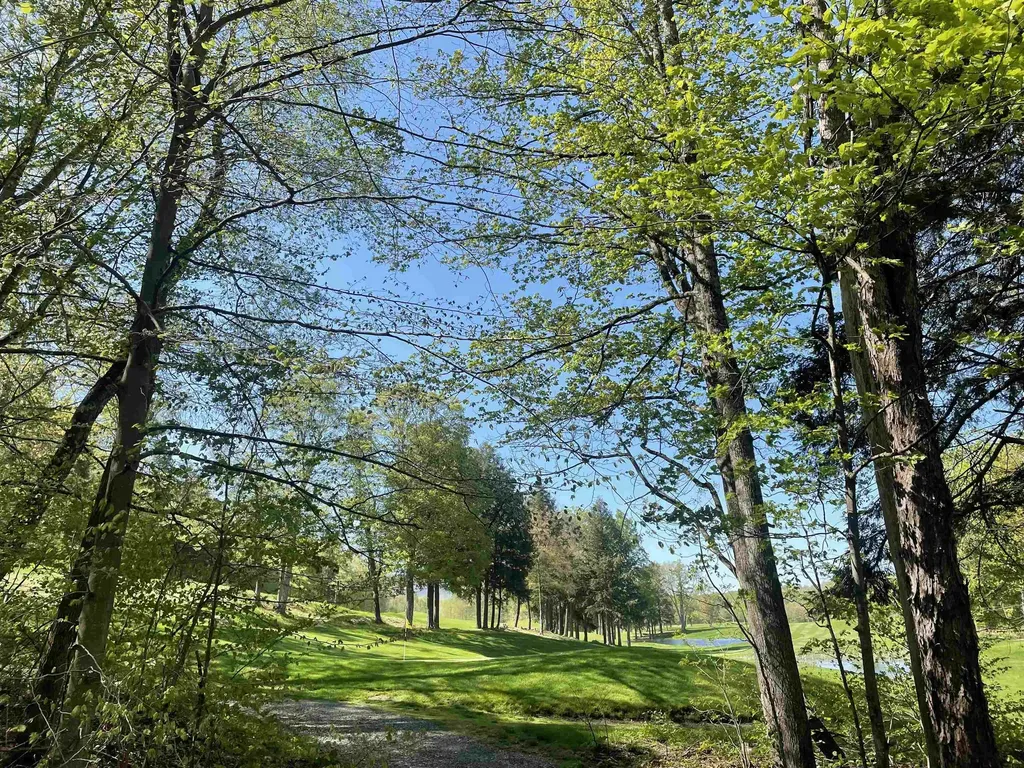 530 Finbars Forest Road Manchester VT 05255