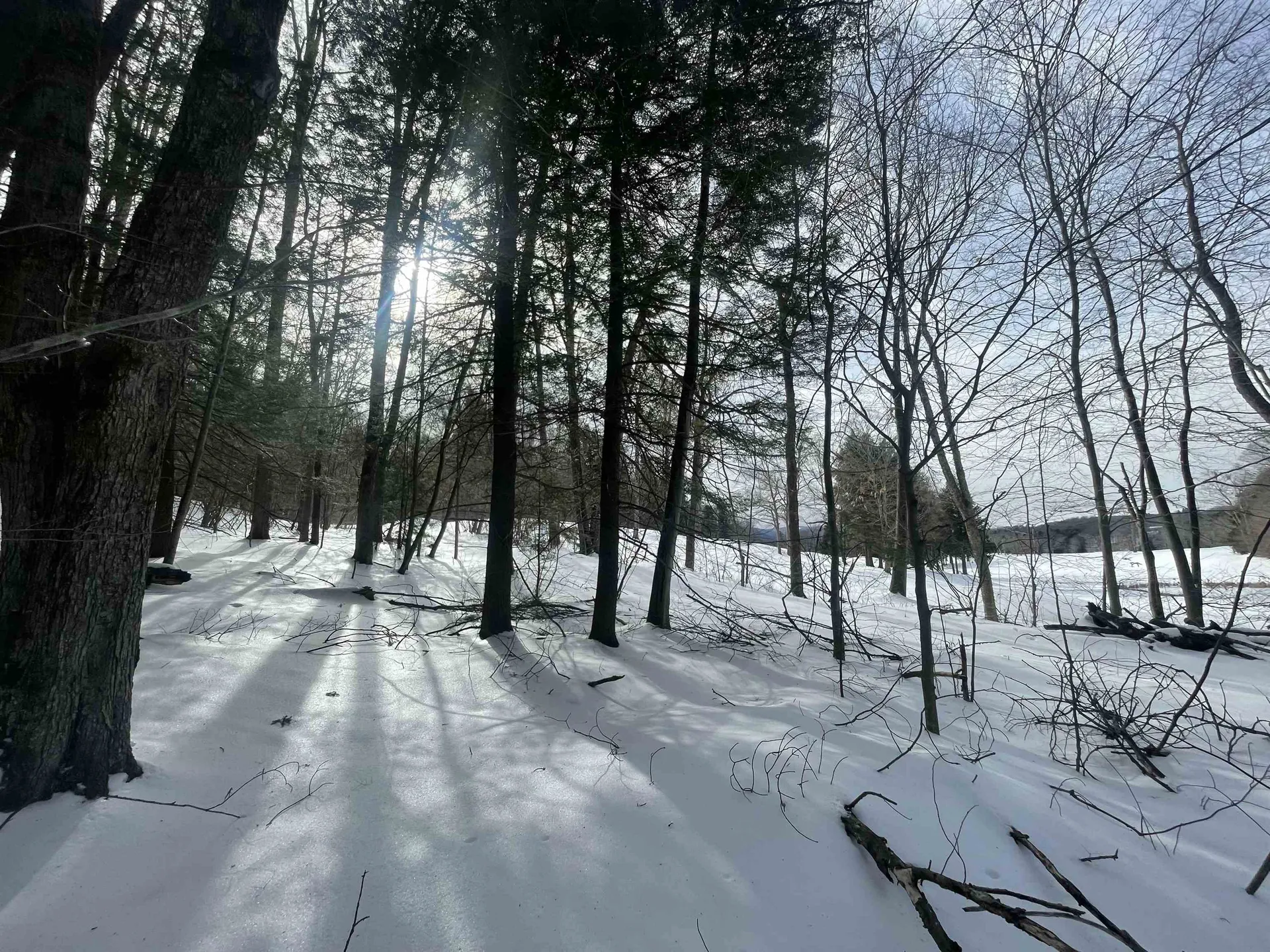 530 Finbars Forest Road Manchester VT 05255