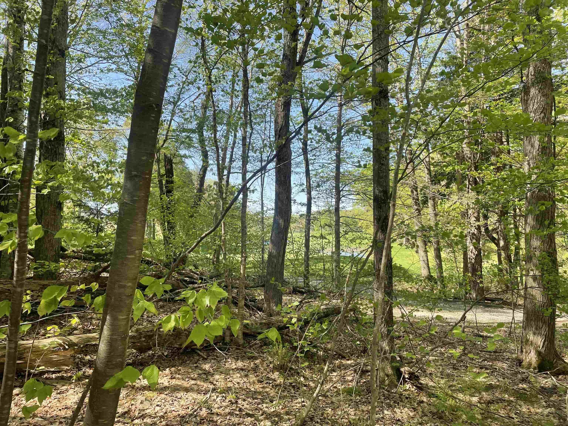 530 Finbars Forest Road Manchester VT 05255