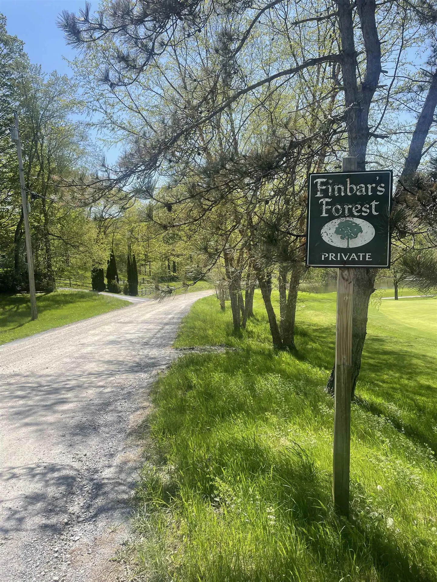 530 Finbars Forest Road Manchester VT 05255