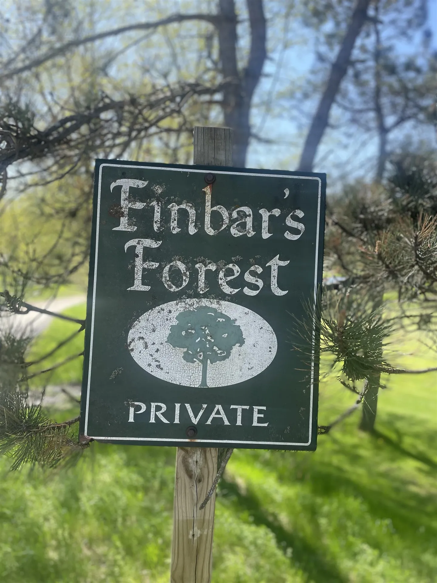 530 Finbars Forest Road Manchester VT 05255