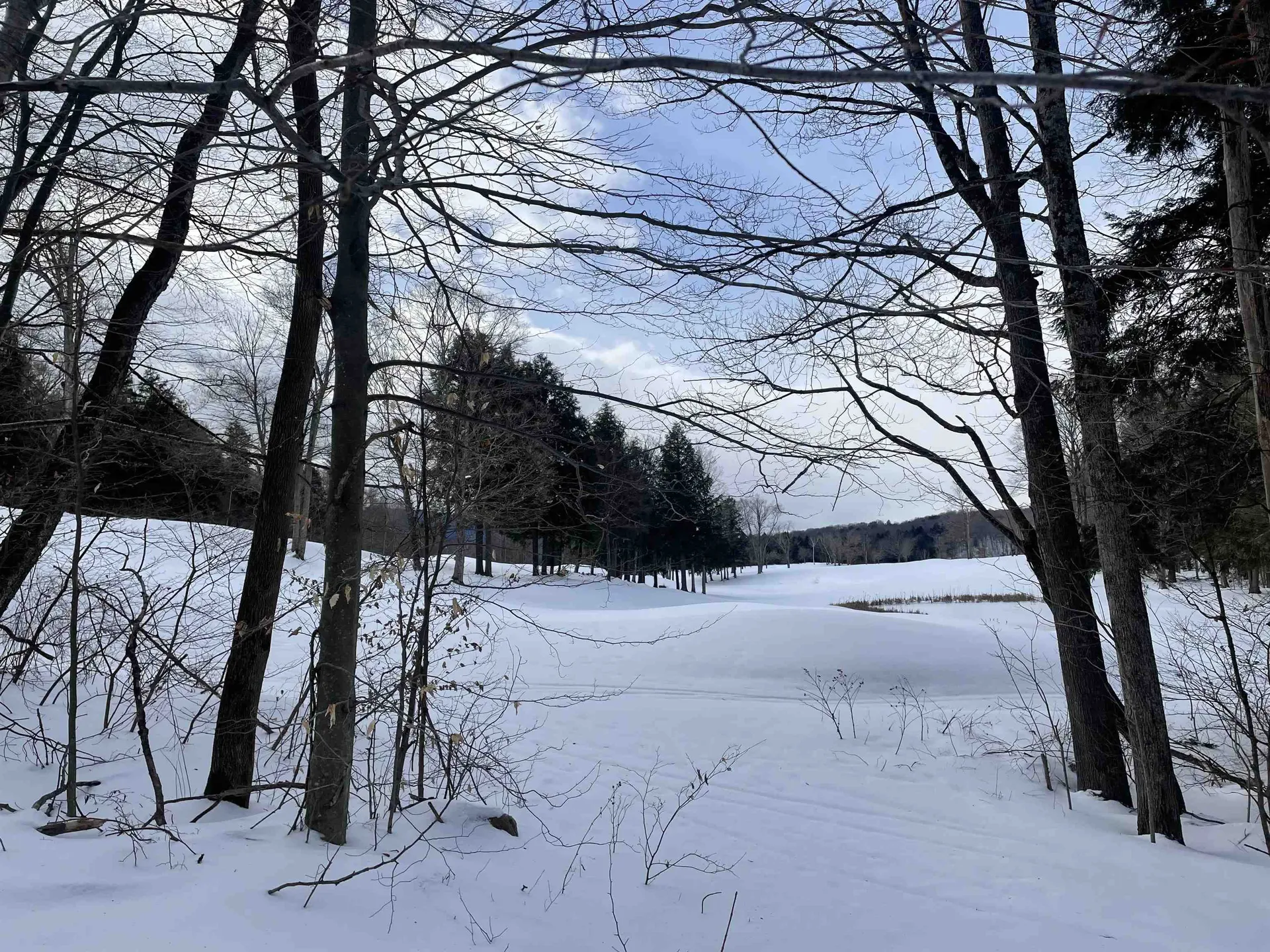 530 Finbars Forest Road Manchester VT 05255