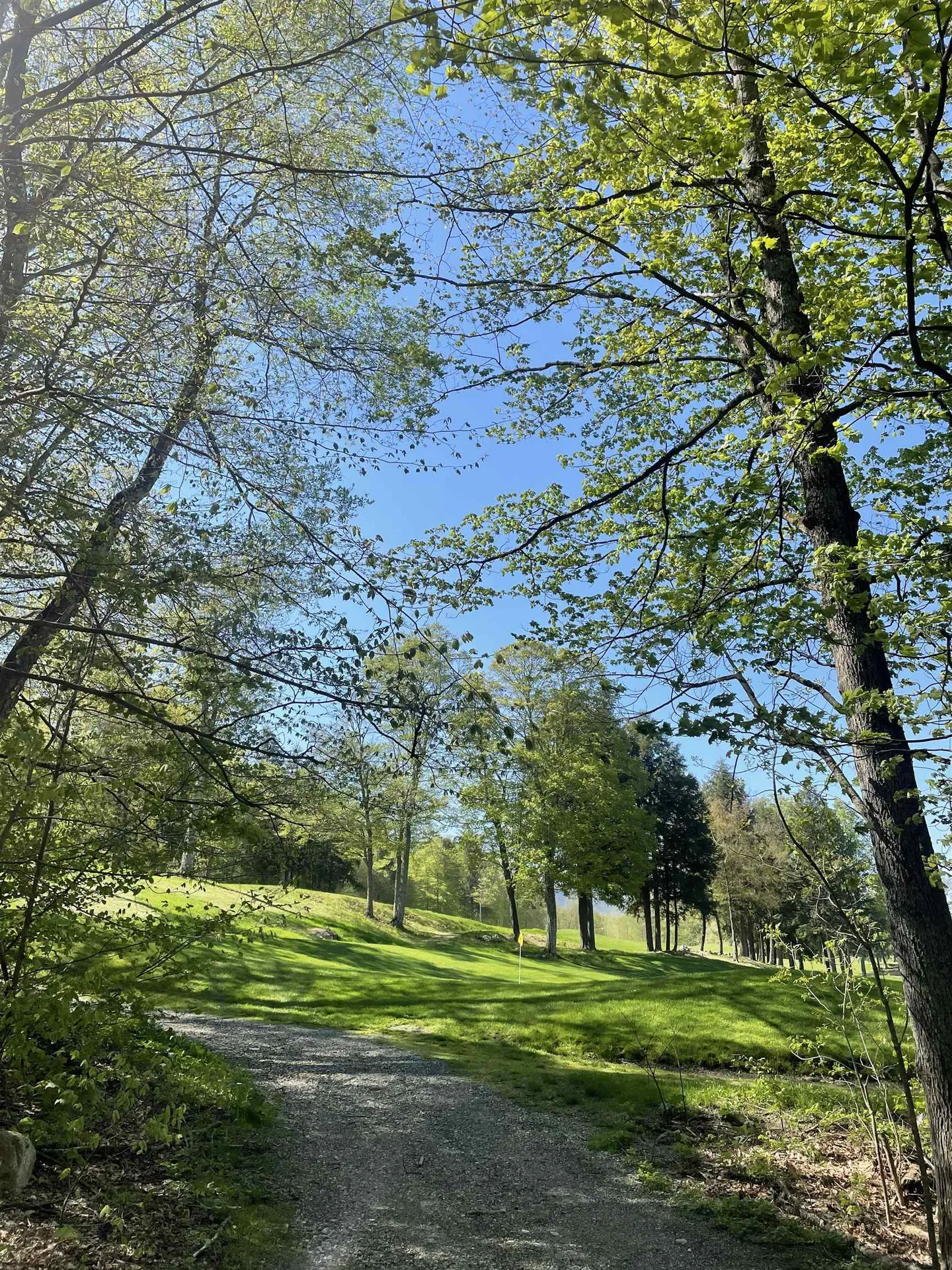 530 Finbars Forest Road Manchester VT 05255