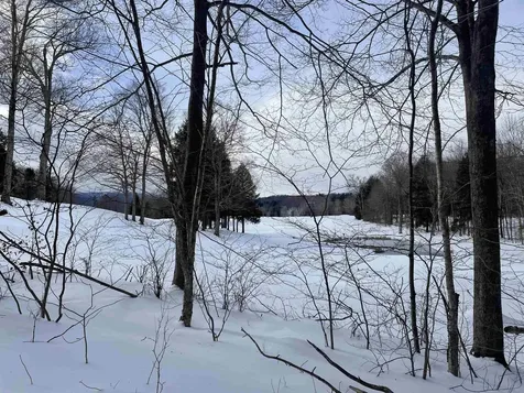 530 Finbars Forest Road Manchester VT 05255