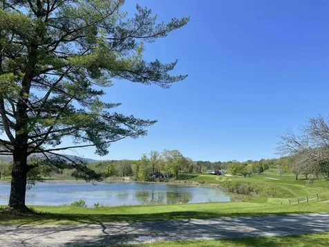 530 Finbars Forest Road Manchester VT 05255