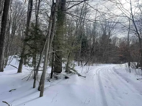 530 Finbars Forest Road Manchester VT 05255