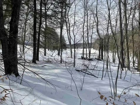 530 Finbars Forest Road Manchester VT 05255