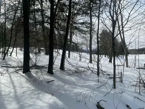 530 Finbars Forest Road Manchester VT 05255