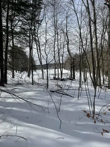 530 Finbars Forest Road Manchester VT 05255