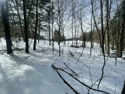 530 Finbars Forest Road Manchester VT 05255