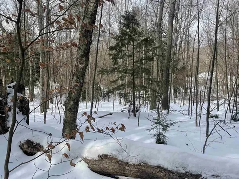 530 Finbars Forest Road Manchester VT 05255