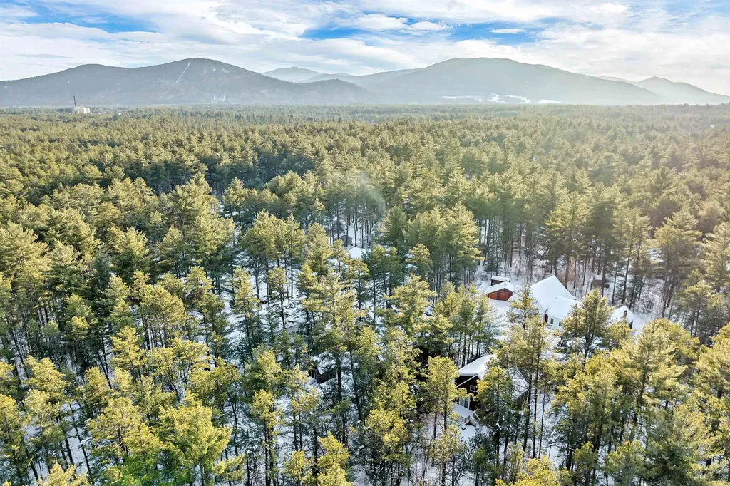 171 Remick Drive Tamworth NH 03817