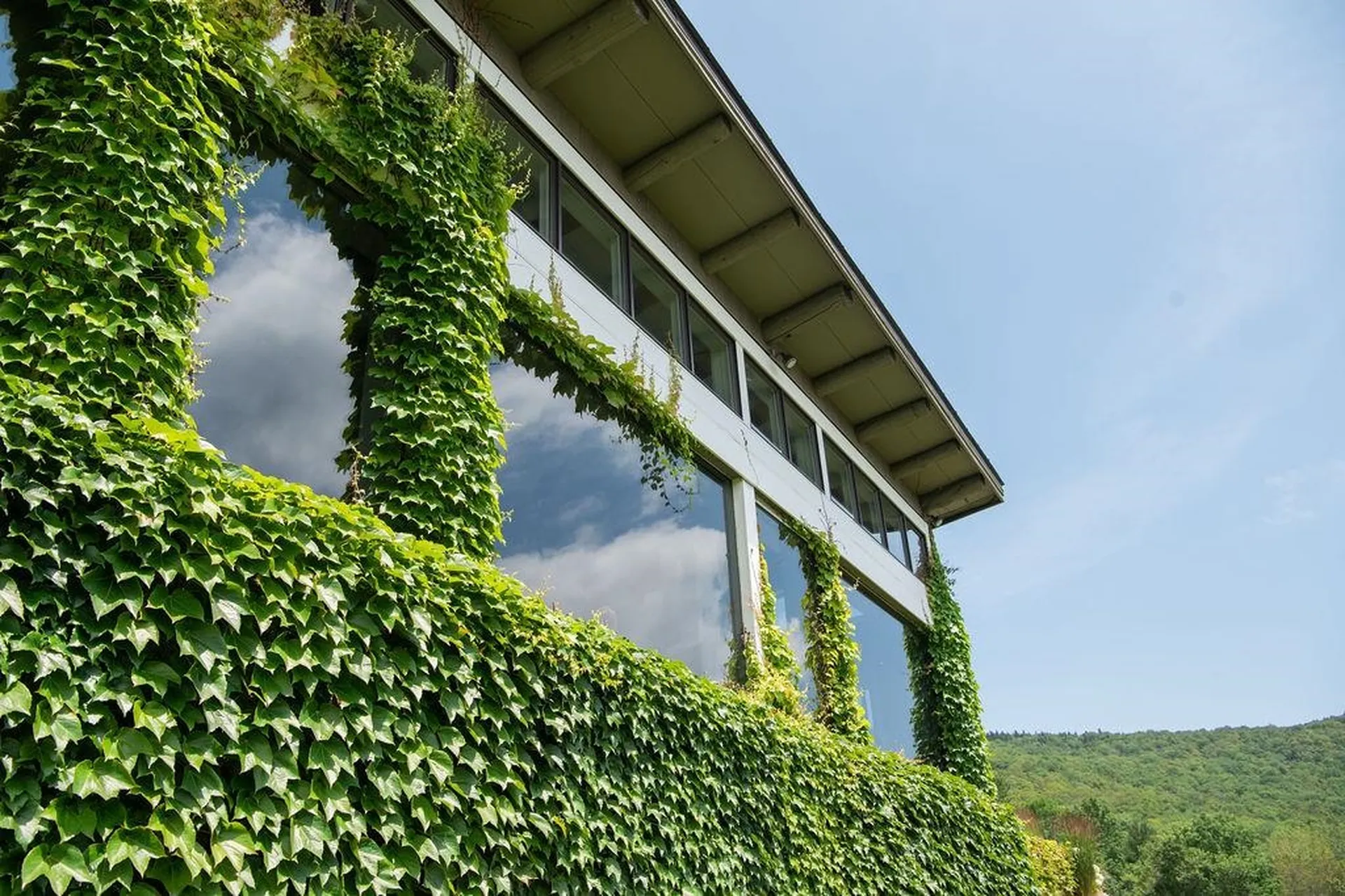 25 Mountain Haunts Road Winhall VT 05340