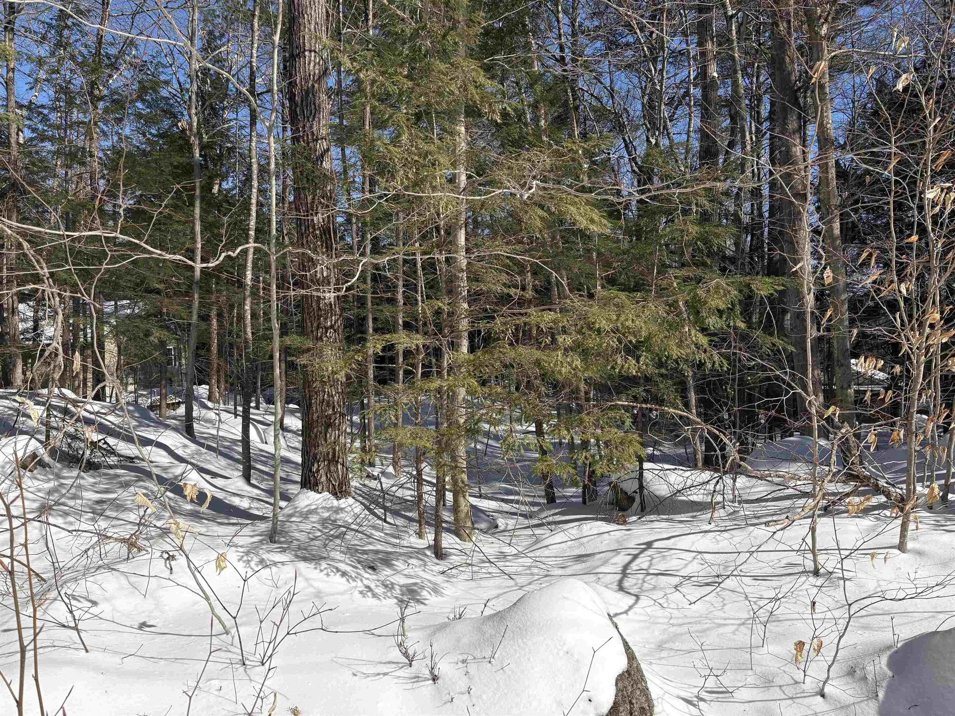 10-5-107 Rumford Drive Webster NH 03303