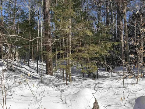 10-5-107 Rumford Drive Webster NH 03303