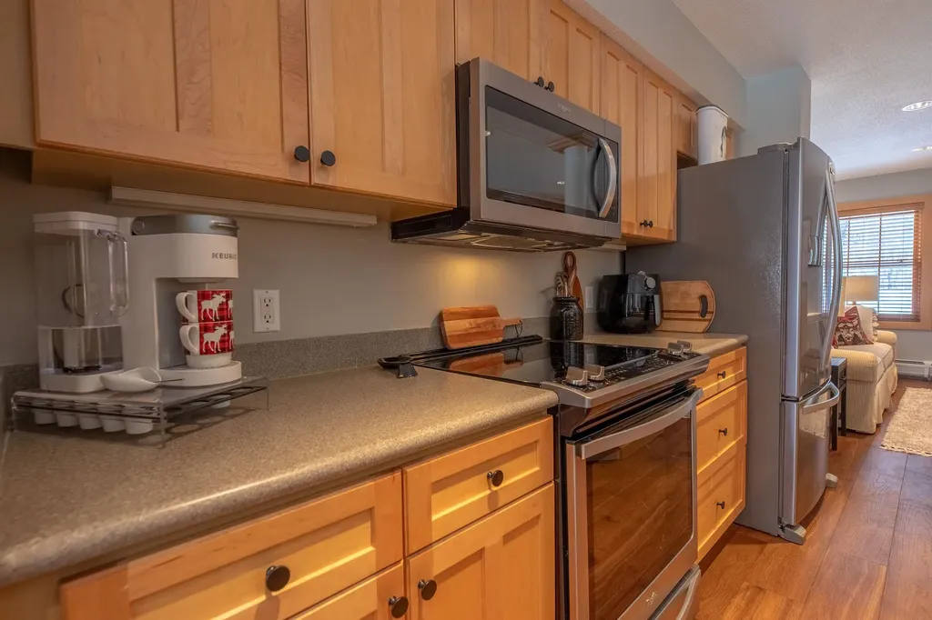 9b Windham Way Dover VT 05356