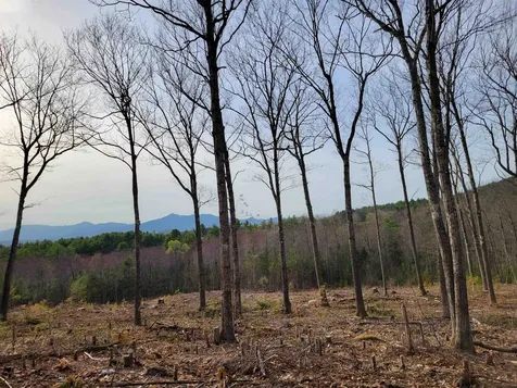 0 Maple Grove Road Madison NH 03849