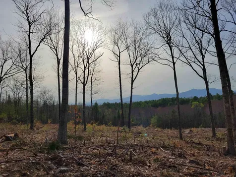 0 Maple Grove Road Madison NH 03849