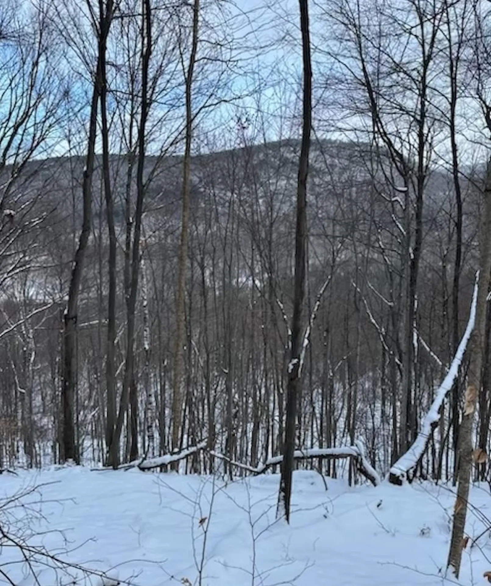 Middletown Springs VT, Town Highway 02