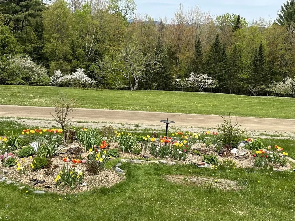 133 Frazier Road Worcester VT 05682